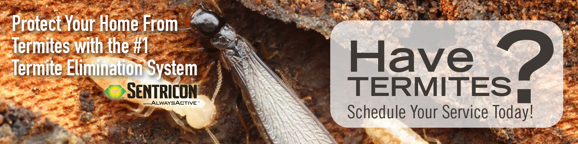 Termite Protection and Elimination-Barnetts Termite and Pest Control