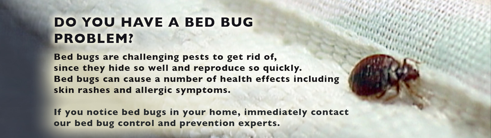 Bed Bug Elimination in St.Clair,Madison and St.Clair County-Barnett Pest Solutions